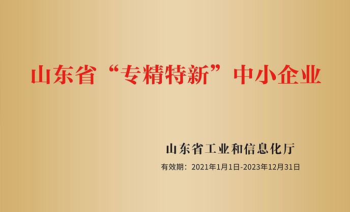 山東省專精特新中小企業(yè)